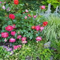 VFL.RU - ваш фотохостинг