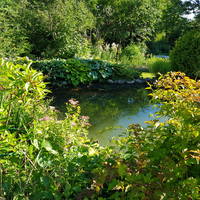 VFL.RU - ваш фотохостинг