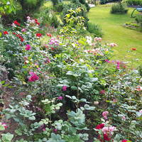 VFL.RU - ваш фотохостинг