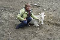 Светлана козёл