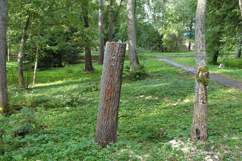 Северная Ривьера Северная Ривьера