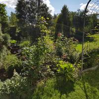 VFL.RU - ваш фотохостинг