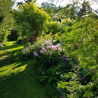 VFL.RU - ваш фотохостинг