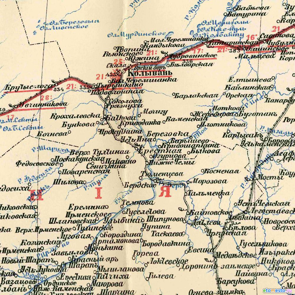 карта окресностей новосибв 1891