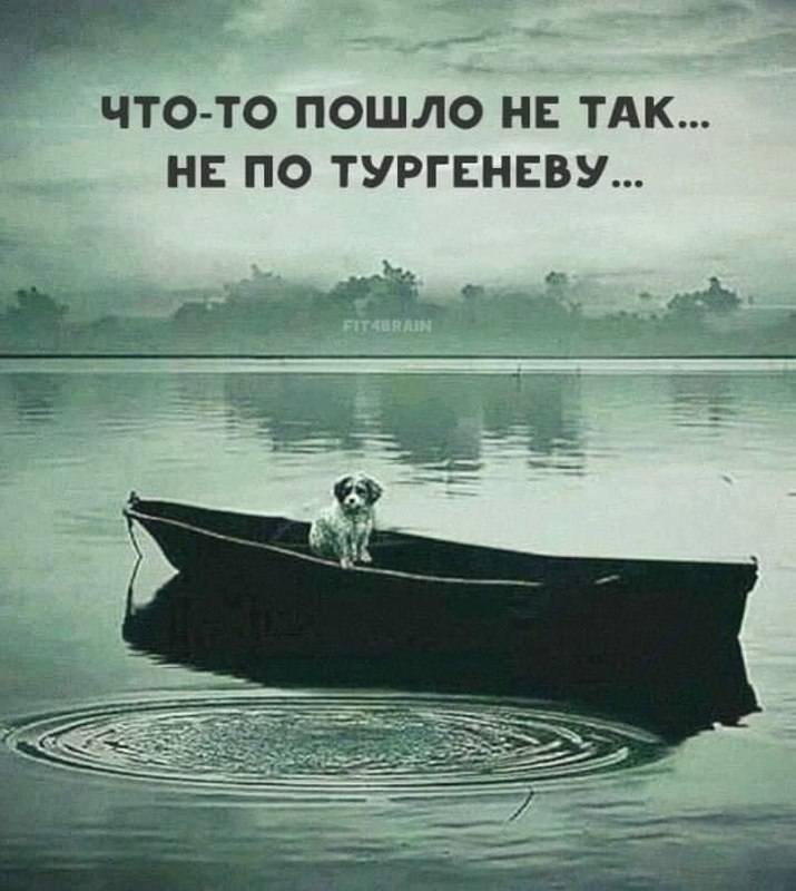 Юмор Юмор
