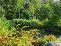 VFL.RU - ваш фотохостинг