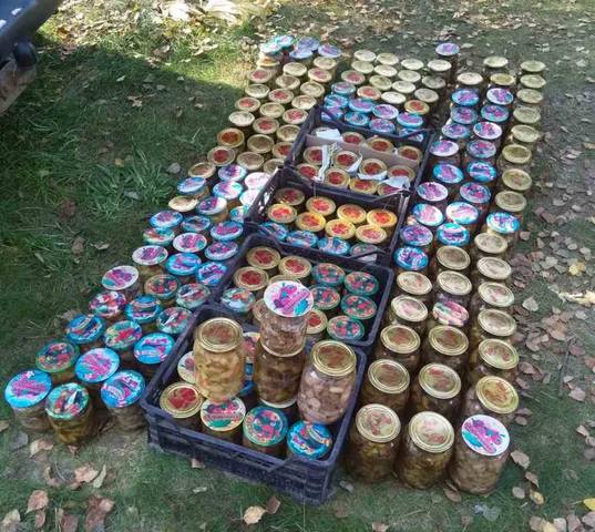 Чайная беседка