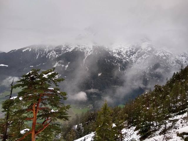 Чайная беседка