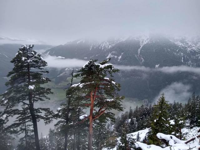 Чайная беседка