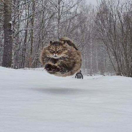 Посмеялся сам - поделись с другом!!!