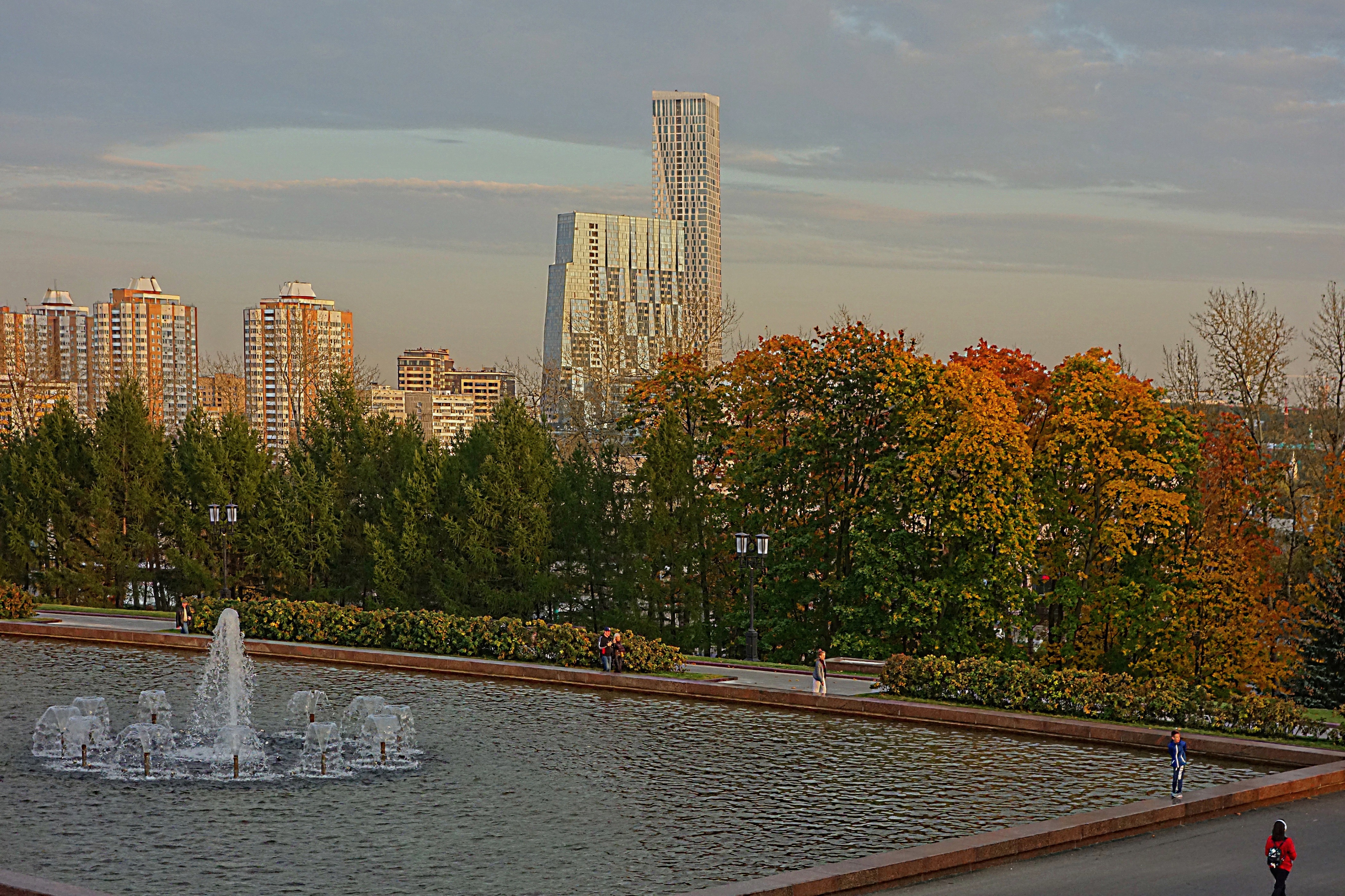 В Парке Победы к вечеру. Фото Морошкина В.В.