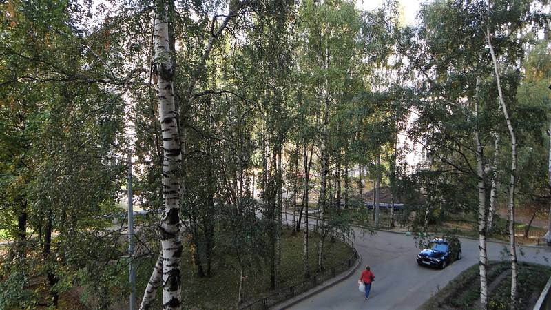 Осенний Питер Осенний Питер