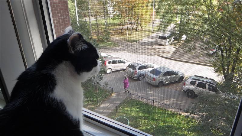 Осенний Питер Осенний Питер