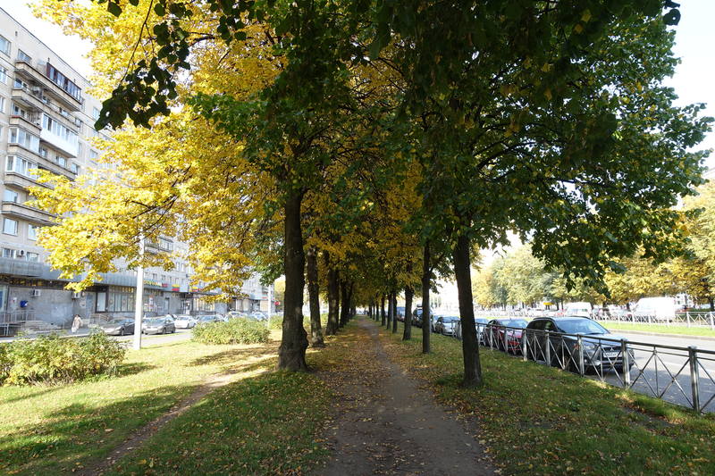 Санкт-Петербург Санкт-Петербург