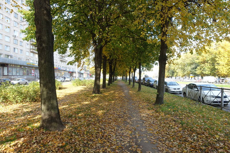 Санкт-Петербург Санкт-Петербург