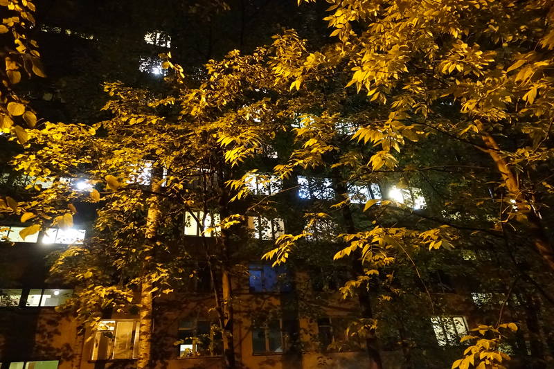 Санкт-Петербург Санкт-Петербург