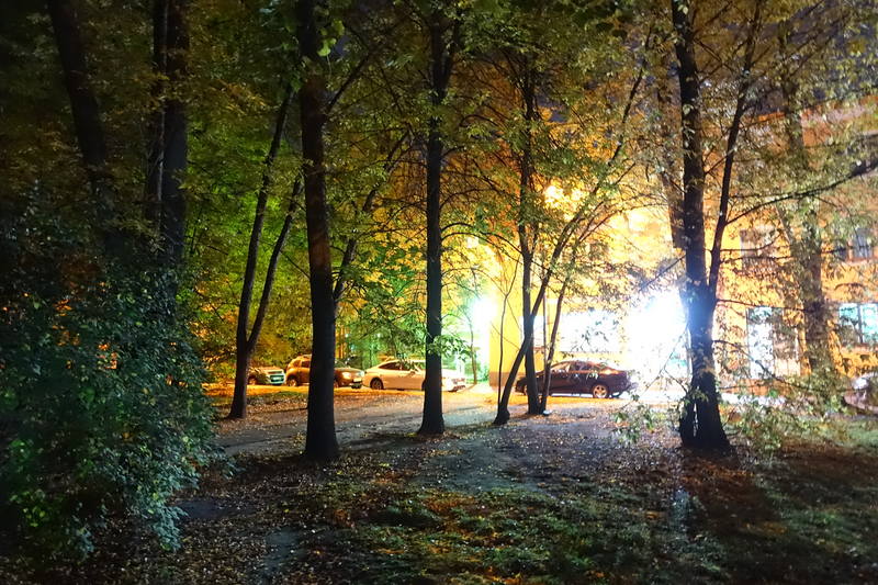 Санкт-Петербург Санкт-Петербург