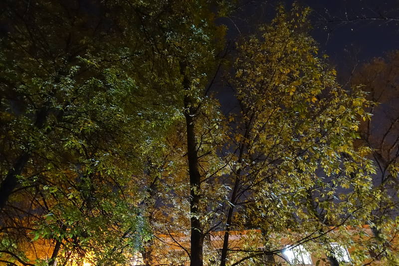 Санкт-Петербург Санкт-Петербург