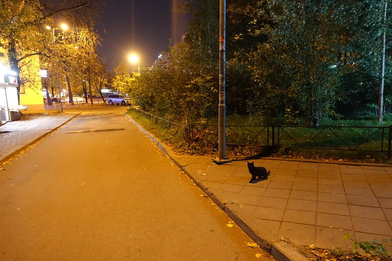 Санкт-Петербург Санкт-Петербург