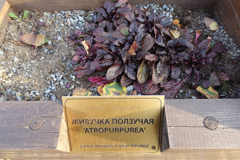 Санкт-Петербург Санкт-Петербург