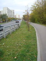 VFL.RU - ваш фотохостинг