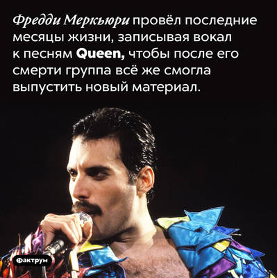 Занятные факты Занятные факты