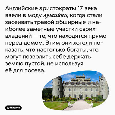 Занятные факты Занятные факты