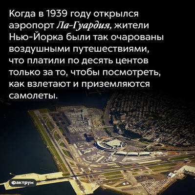 Занятные факты Занятные факты