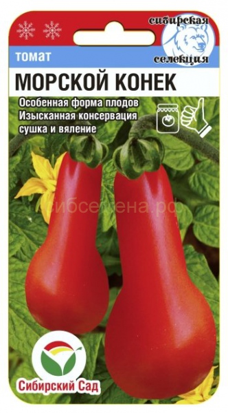 tomat morskoi konek sib sad