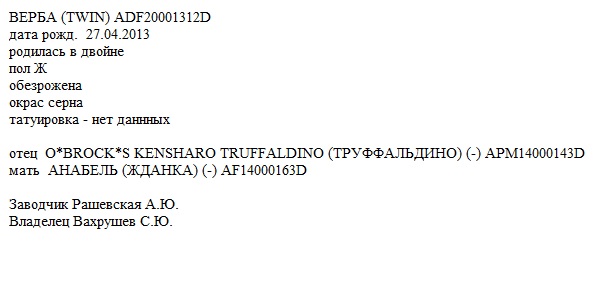 Верба анк ЛПХ Комарово