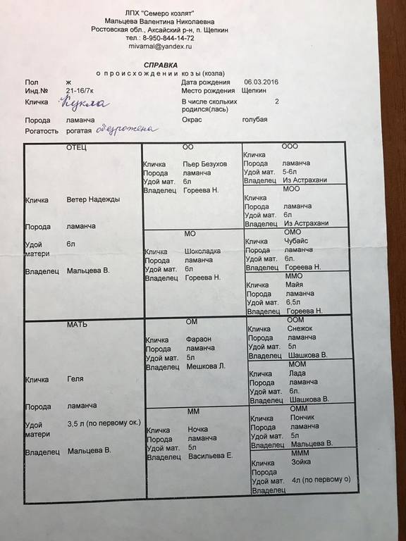 Гелик мать Кукла род Ученик