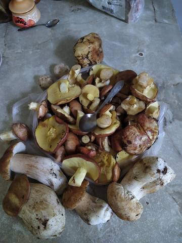 Чайная беседка