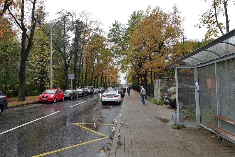 Крестовский остров Крестовский остров