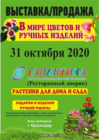 форум 31 октября 2020 эл вид