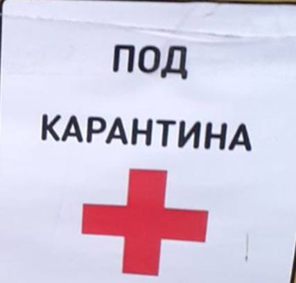 Публикувано изображение