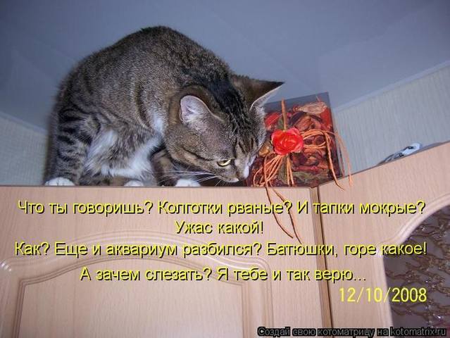 http://images.vfl.ru/ii/1603783210/8a9972b8/32095055_m.jpg