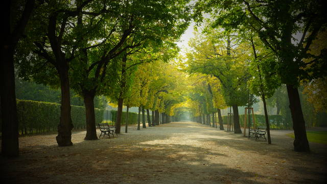 Чайная беседка