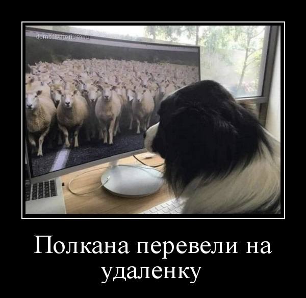 юмор 0oYi x8eUK0