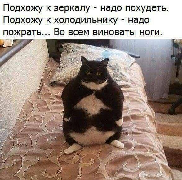 смешно 8bXv6l eAhY
