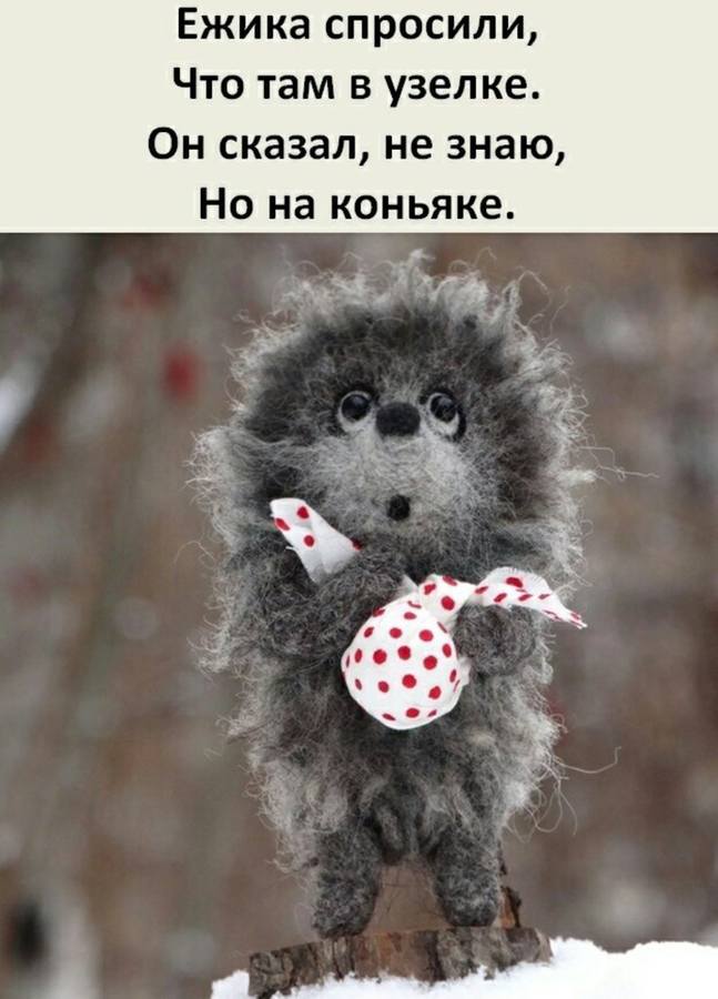 Юмор Юмор