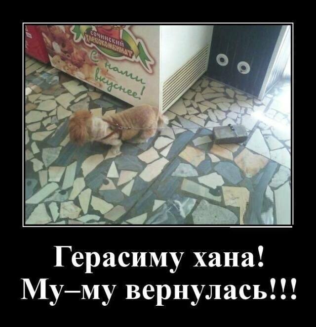 смешно смешно