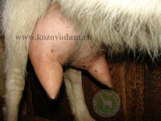 Маня 3 Юрьевна