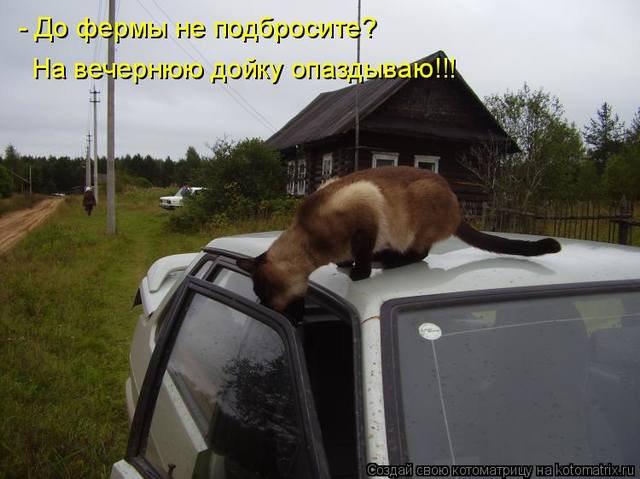 http://images.vfl.ru/ii/1603964206/ae2d2146/32116896_m.jpg