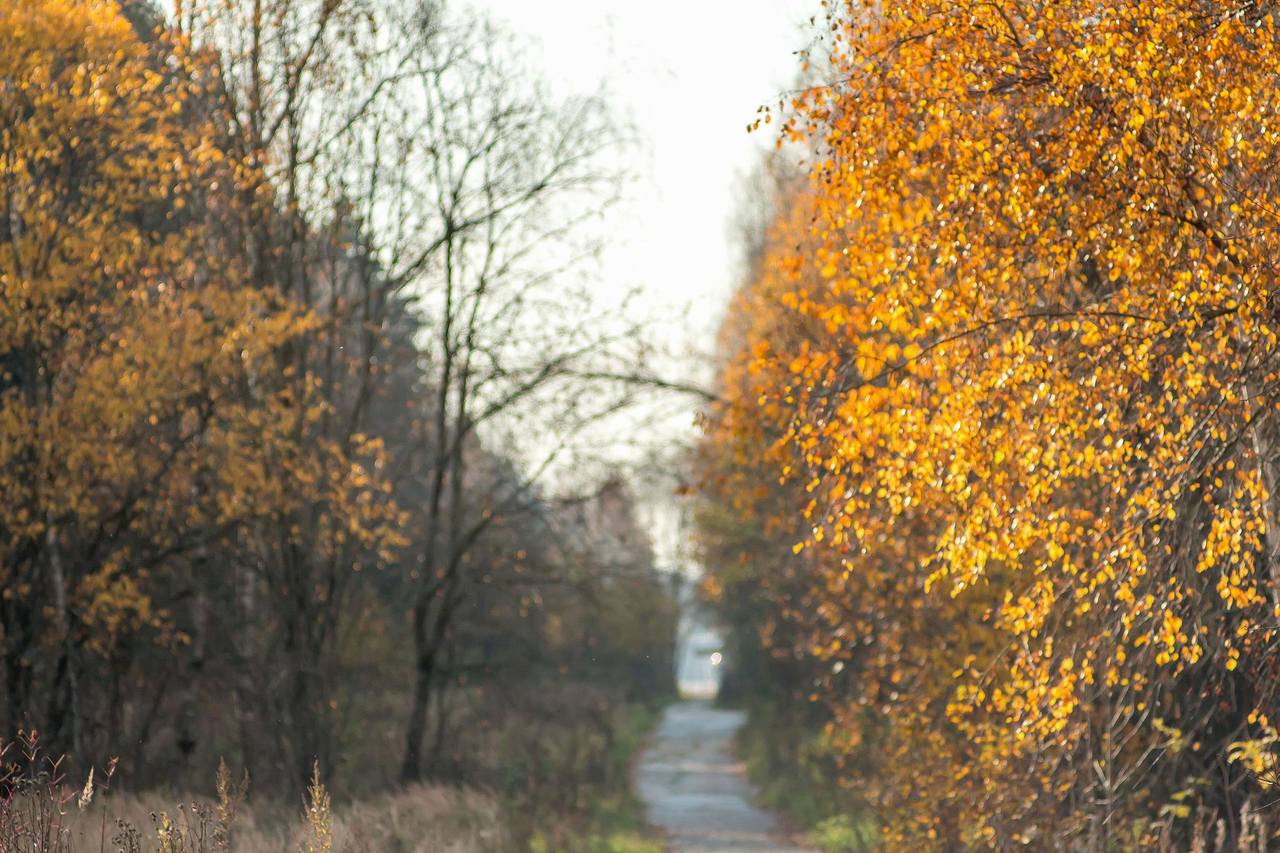 VFL.RU - ваш фотохостинг VFL.RU - ваш фотохостинг