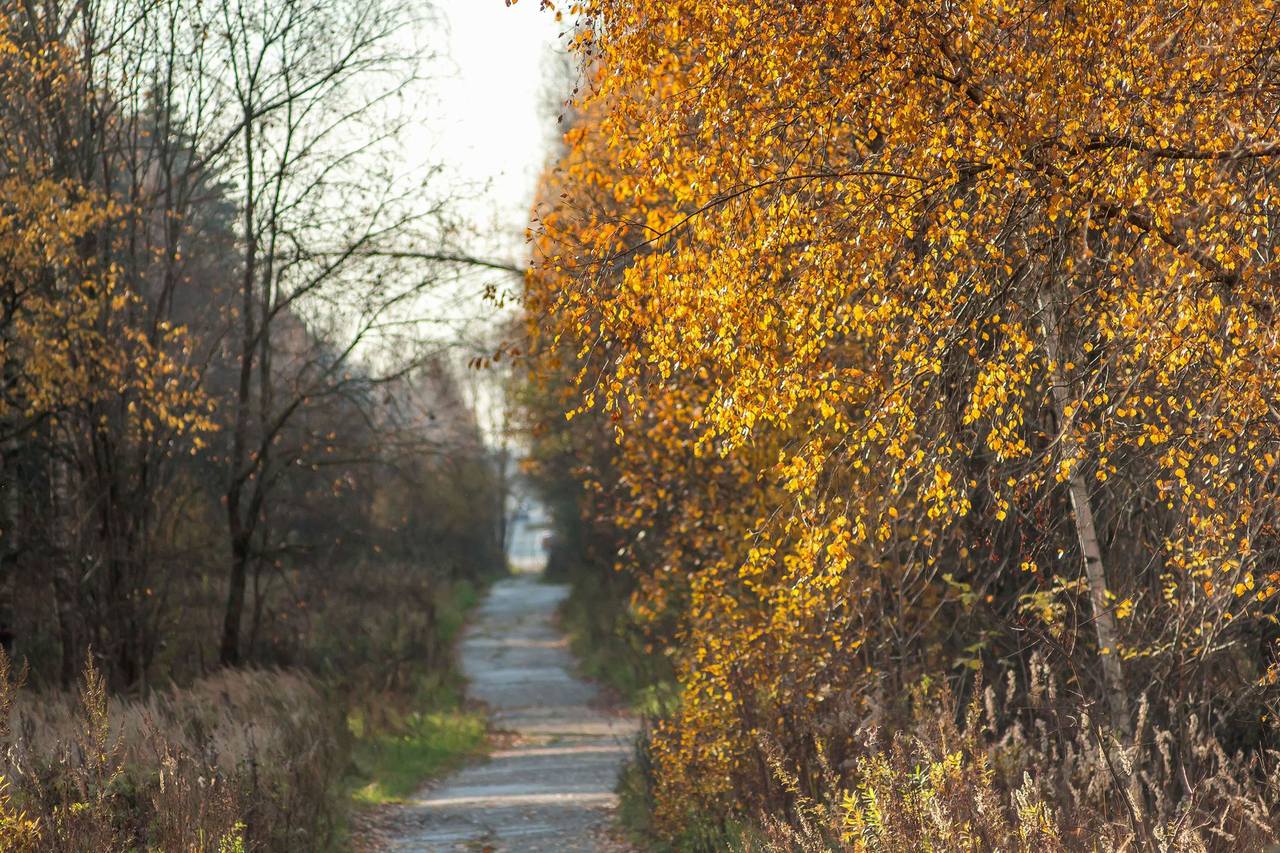 VFL.RU - ваш фотохостинг VFL.RU - ваш фотохостинг