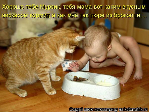 http://images.vfl.ru/ii/1604045035/9f0816de/32126827_m.jpg