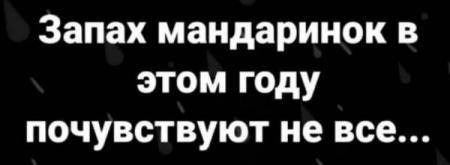 Tapтaлeтки & Ко