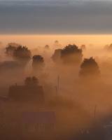 Александр Пашеничев7