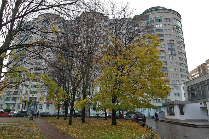 Невский проспект Невский проспект