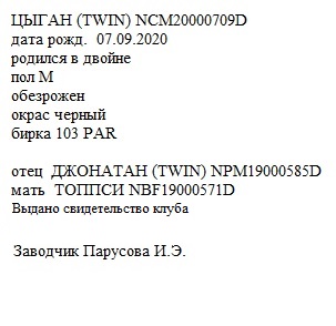 Цыган анк ИрЭн